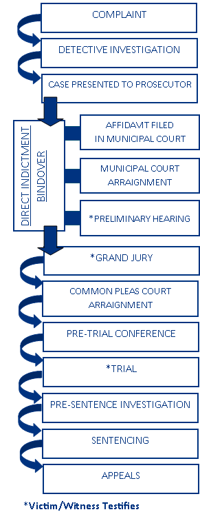 Criminal A vertical flowchart shows steps in the criminal justice process, from complaint and investigation to trial, sentencing, and appeals. Arrows indicate progression and points where the victim or witness may testify.