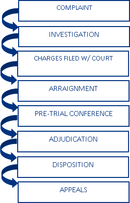 Juvenile A vertical flowchart showing steps in a legal process: Complaint, Investigation, Charges Filed w/ Court, Arraignment, Pre-Trial Conference, Adjudication, Disposition, and Appeals, connected by blue arrows.