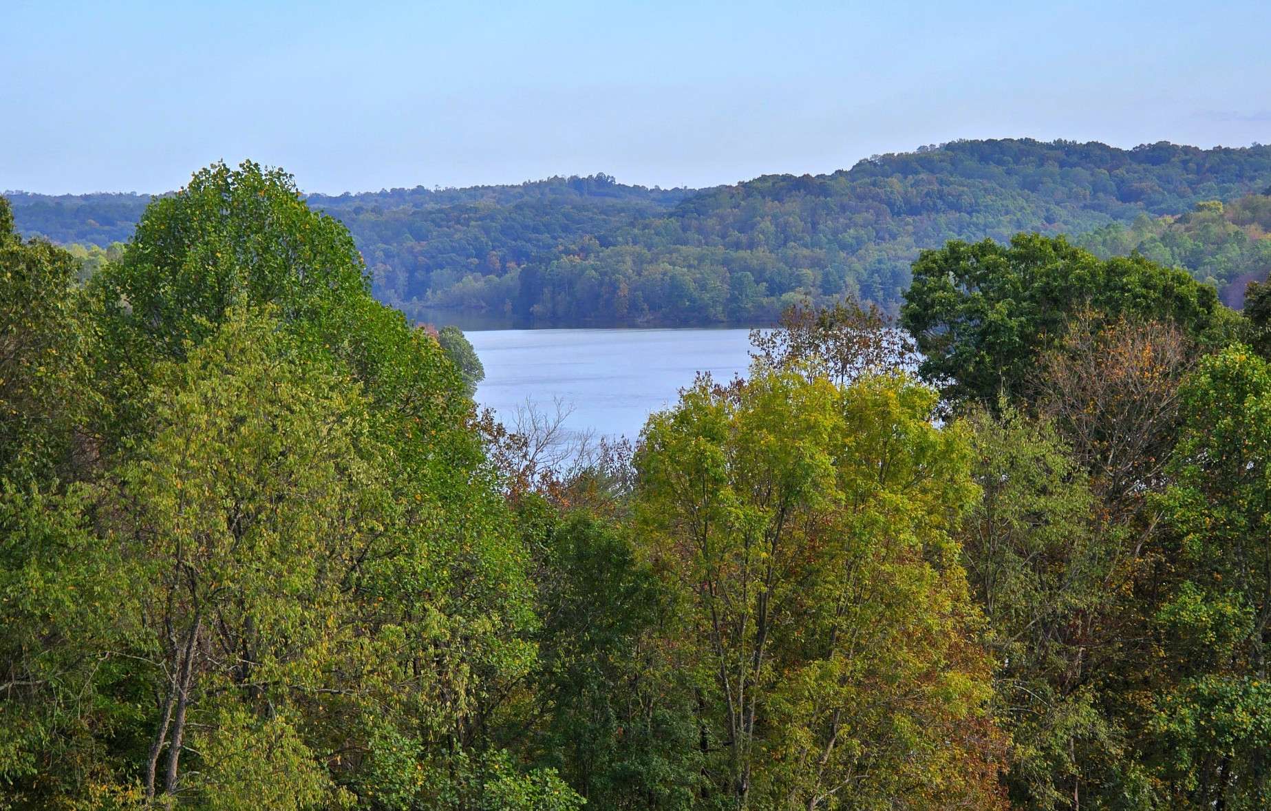 Salt Fork Trees and Lake