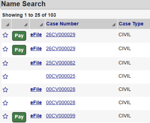 Records Search Screenshot 2 Court records search results showing a list of civil case numbers with options to Pay or eFile. The table displays case types, numbers, and includes rows for different cases.